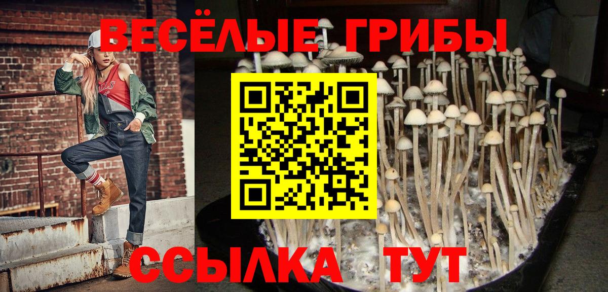 Галлюциногенные грибы Magic Shrooms Волжск