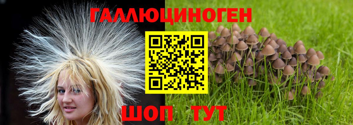 Псилоцибиновые грибы Magic Shrooms  Вход с VPN  Псилоцибиновые грибы мухоморы  Волжск 